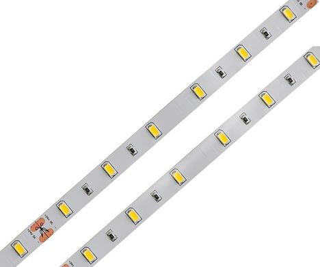 LED лента PROLUM™ 12V; 5630\60; IP20; Series "SG" 320050 купить в Харькове, Украине: цена, отзывы, характеристики