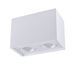 Точковий світильник Goldlux Hadar Q2 GU10 2x10W IP20 білий 313133 313133-PLX