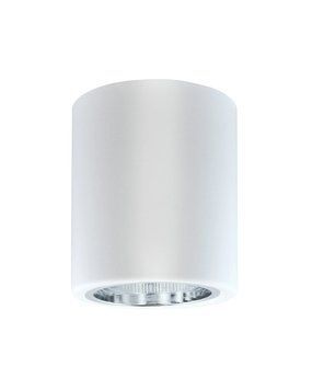 Точечный светильник Goldlux Jupiter E27 1x20W IP20 белый 307170 307170-PLX купить в Харькове, Украине: цена, отзывы, характеристики