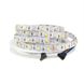 Светодиодная LED лента PROLUM™ 12V; 5050\60; IP20; Series "SG" 320101