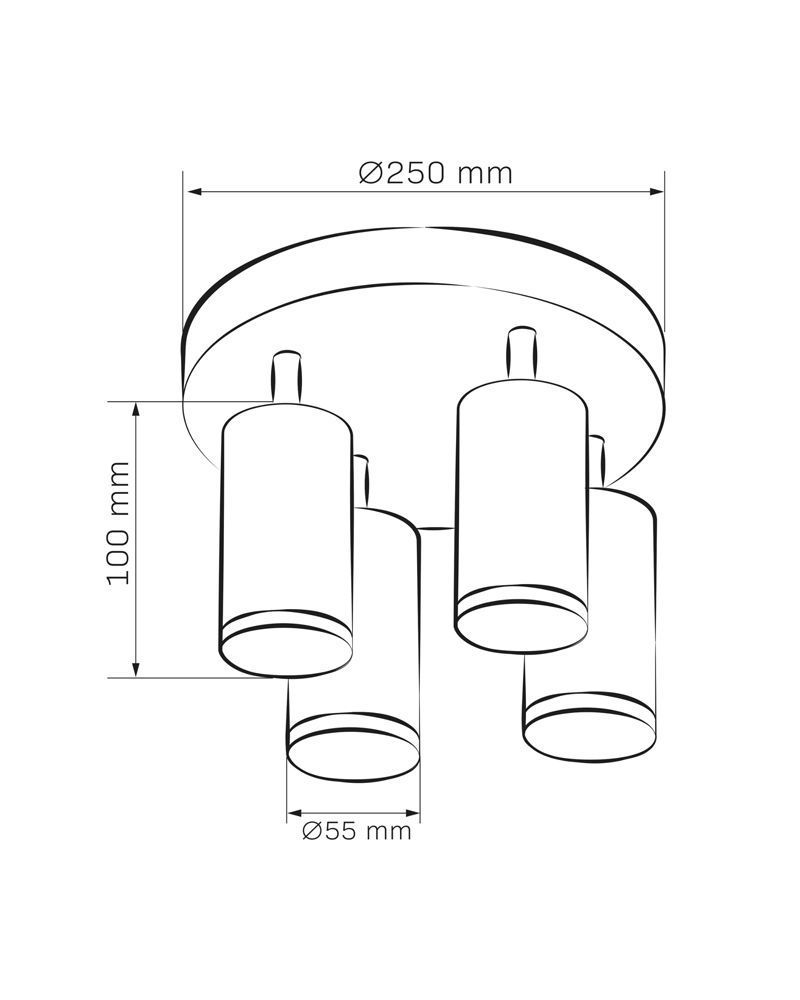 Светильник поворотный, спот Goldlux Turyn GU10 4x10W IP44 черный 324733 324733-PLX купить в Харькове, Украине: цена, отзывы, характеристики