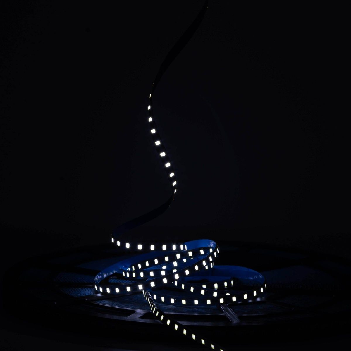 Светодиодная LED лента PROLUM&trade; 12V; IP20; 2835\120; 6ММ; 50M; S-TYPE; Series "S" 320130 купить в Харькове, Украине: цена, отзывы, характеристики