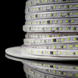 Светодиодная LED лента PROLUM&trade; 220V; 2835\120; IP67; Series "S" 361015