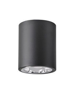 Точечный светильник Goldlux Jupiter E27 1x20W IP20 черный 311696 311696-PLX купить в Харькове, Украине: цена, отзывы, характеристики