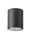 Точковий світильник Goldlux Jupiter E27 1x20W IP20 чорний 311696 311696-PLX