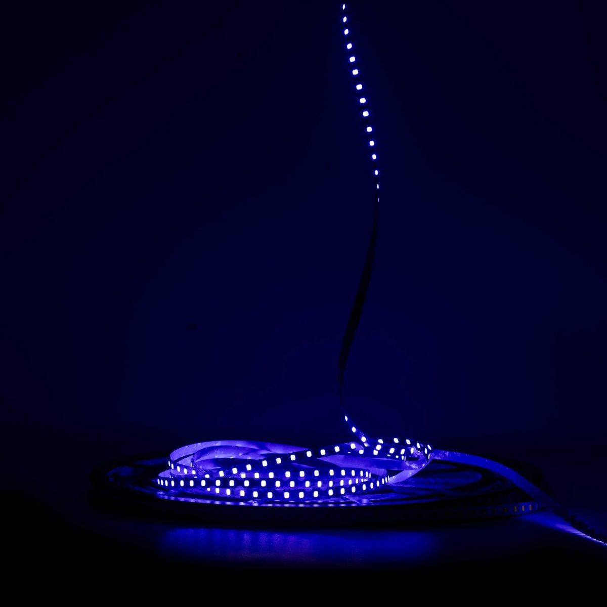 Светодиодная LED лента PROLUM&trade; 12V; IP64; 2835\110; Spray; 6ММ; S-TYPE; Series "SG" 320157 купить в Харькове, Украине: цена, отзывы, характеристики